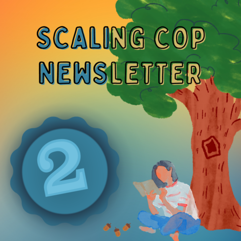 CoP Newsletter 2