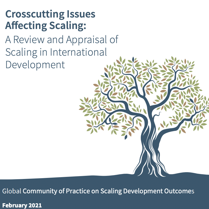Crosscutting Issues Affecting Scaling: A Review and Appraisal of Scaling in International Development