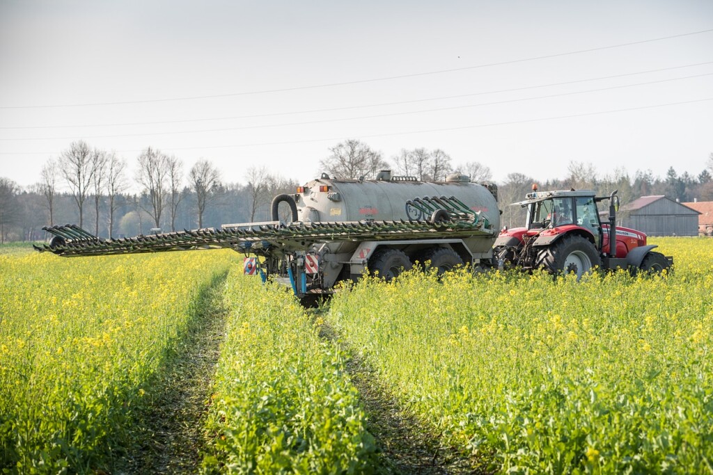 HarvestPlus Updates Biofortification Priority Index with More Crops and Features