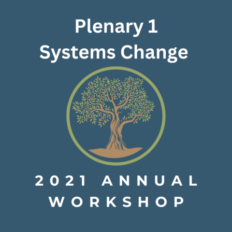 Plenary 1: Scaling & Systems Change