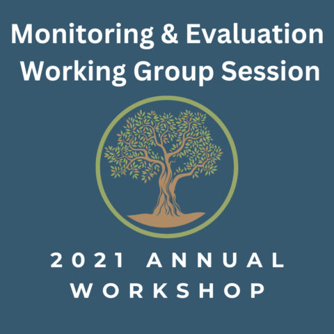 2021 Annual Workshop: M&E Working Group Session