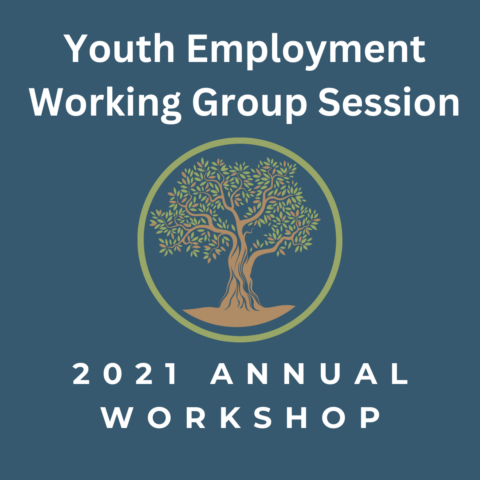 2021 Annual Workshop: Youth Employment Working Group Session