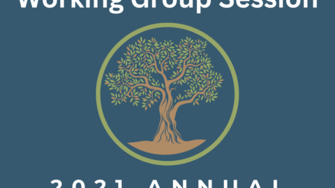 2021 Annual Workshop: Social Enterprise Working Group Session