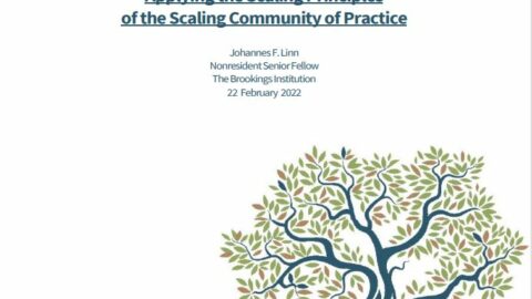 Three Case Studies Applying the Scaling Principles of the Scaling Community of Practice
