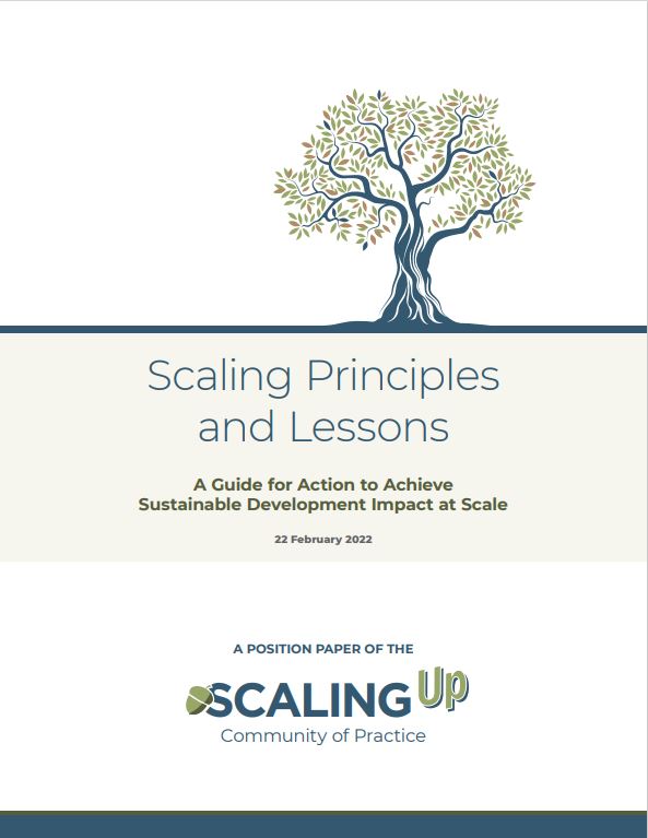 Scaling Principles and Lessons