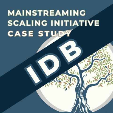 Mainstreaming Scaling: A Case study of IDB