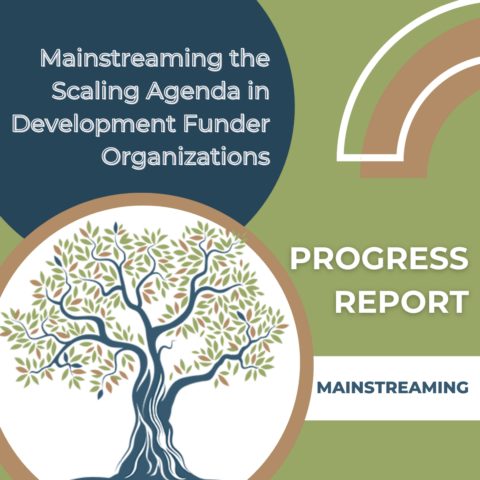 Mainstreaming the Scaling Agenda in Development Funder Organizations: A Progress Report