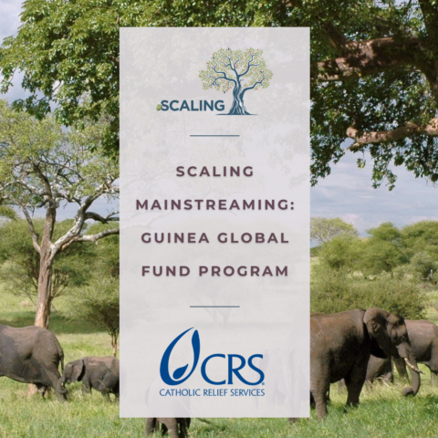 Webinar on Scaling Mainstreaming Guinea Global Fund Program