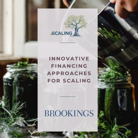 Webinar on Innovative financing approaches for the middle phase of scaling