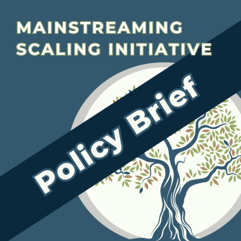 Mainstreaming Scaling in Funder Organizations: A Policy Brief