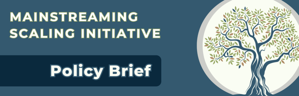 Mainstreaming Scaling In Funder Organizations A Policy Brief Scaling