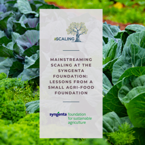 Mainstreaming Scaling with the Syngenta Foundation: Lessons from a Small Agri-Food Foundation