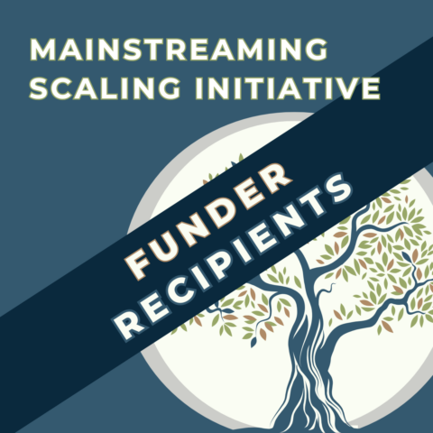 How Funder Practices Affect Funding Recipients