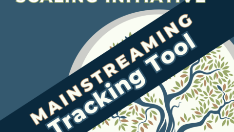 Mainstreaming Scaling: Mainstreaming Tracking Tool