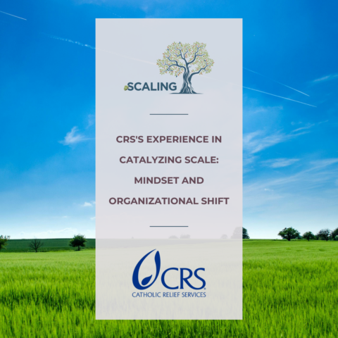 CRS’s Experience in Catalyzing Scale Mindset and Organizational Shift