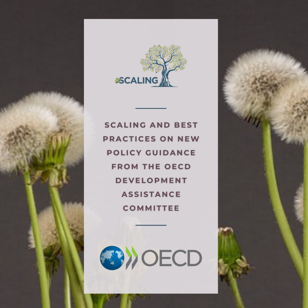 Scaling and Best Practices on New Policy Guidance from the OECD Development Assistance Committee