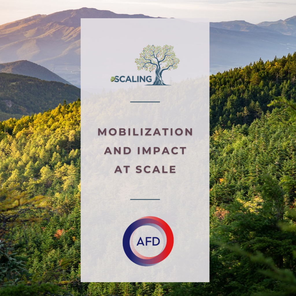Mobilization and Impact at Scale