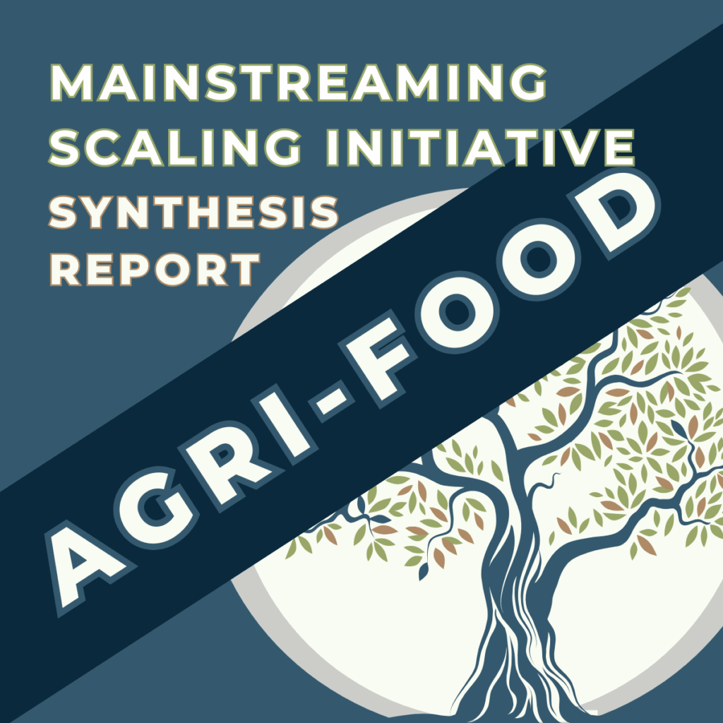 Mainstreaming Scaling: A Comparative Synthesis of Agri-Food Funders and Research Organizations