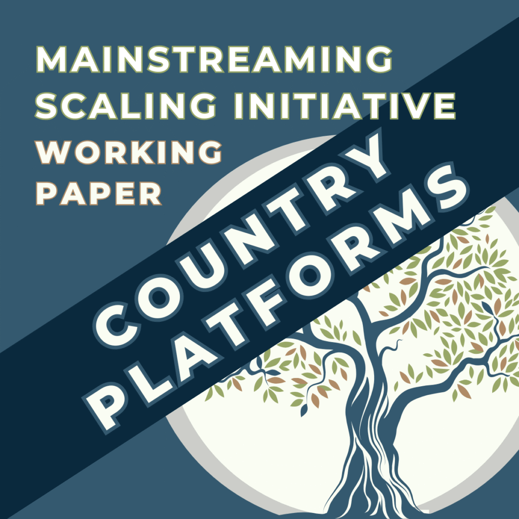 Country Platforms and Scaling: An Exploration of Key Issues
