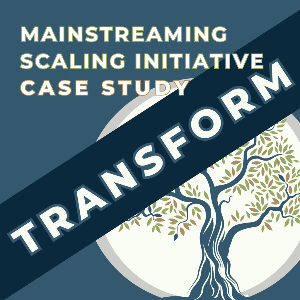 Mainstreaming at SDC's TRANSFORM