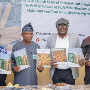 Vitamin A Maize Nigeria HarvestPlus - Munawar Hussain Mass Image Compressor Compressed this image. https://sourceforge.net/projects/icompress/ with Quality:80