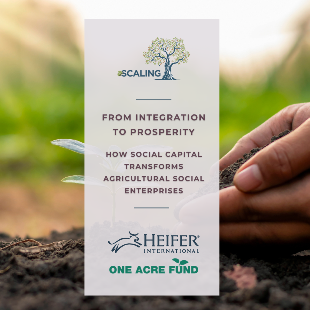From Integration to Prosperity: How Social Capital Transforms Agricultural Social Enterprises