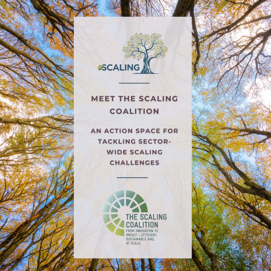 Meet the Scaling Coalition: An action space for tackling sector-wide scaling challenges