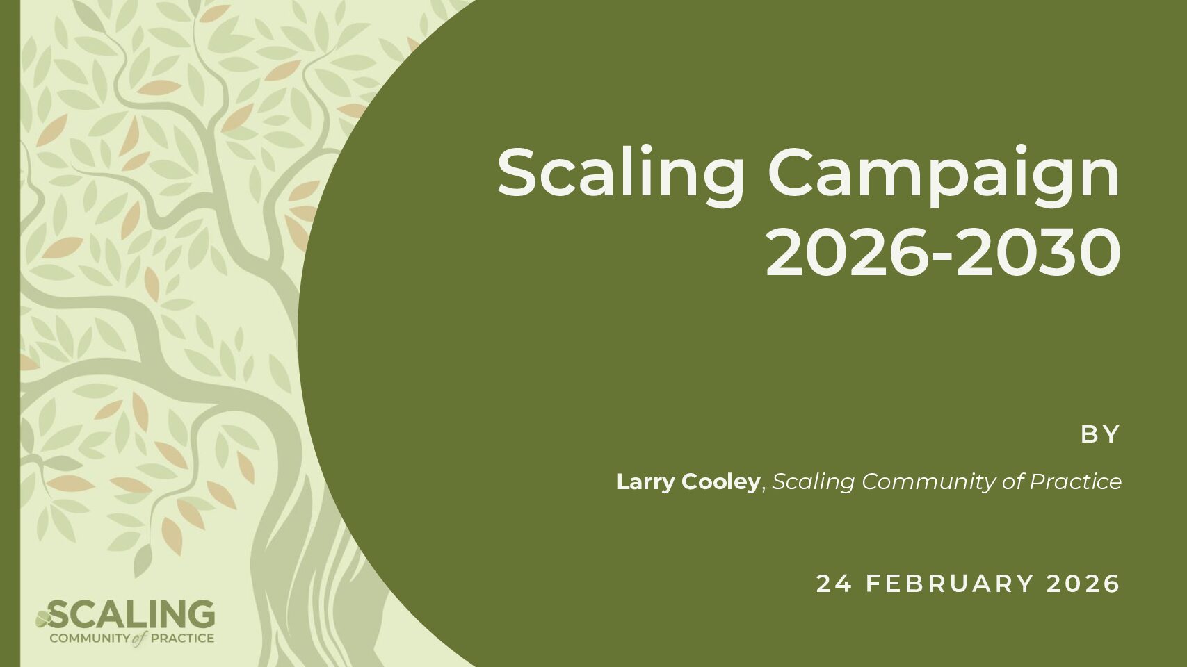 Scaling Campaign 2026-2030