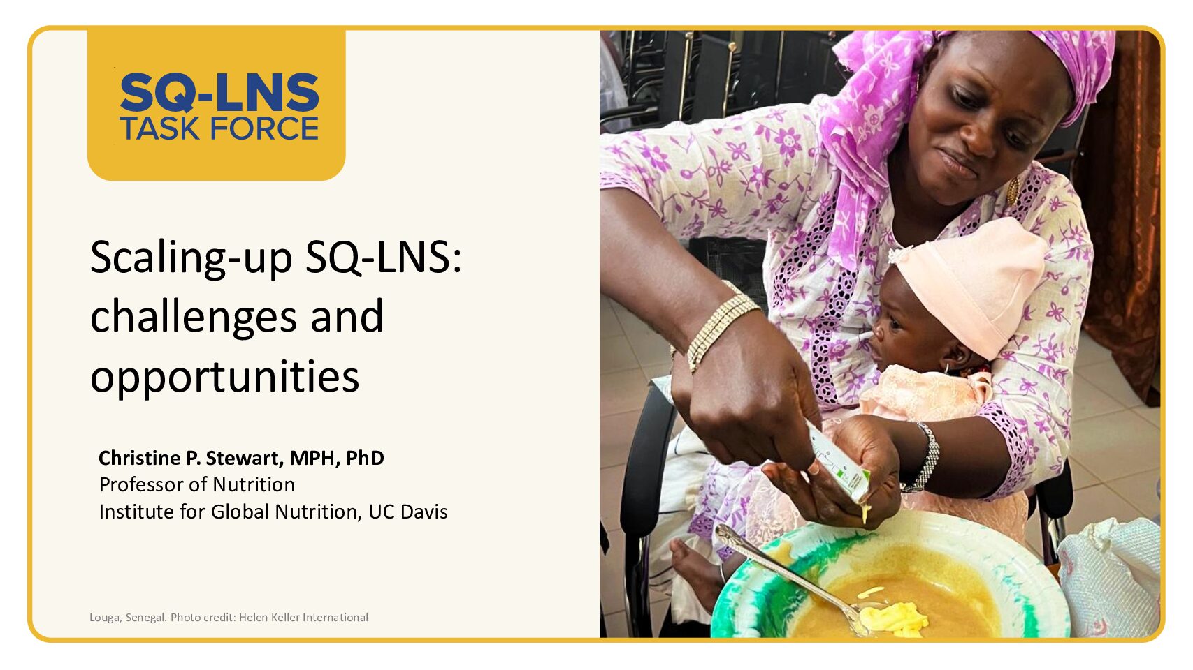 Scaling-up SQ-LNS: challenges and opportunities