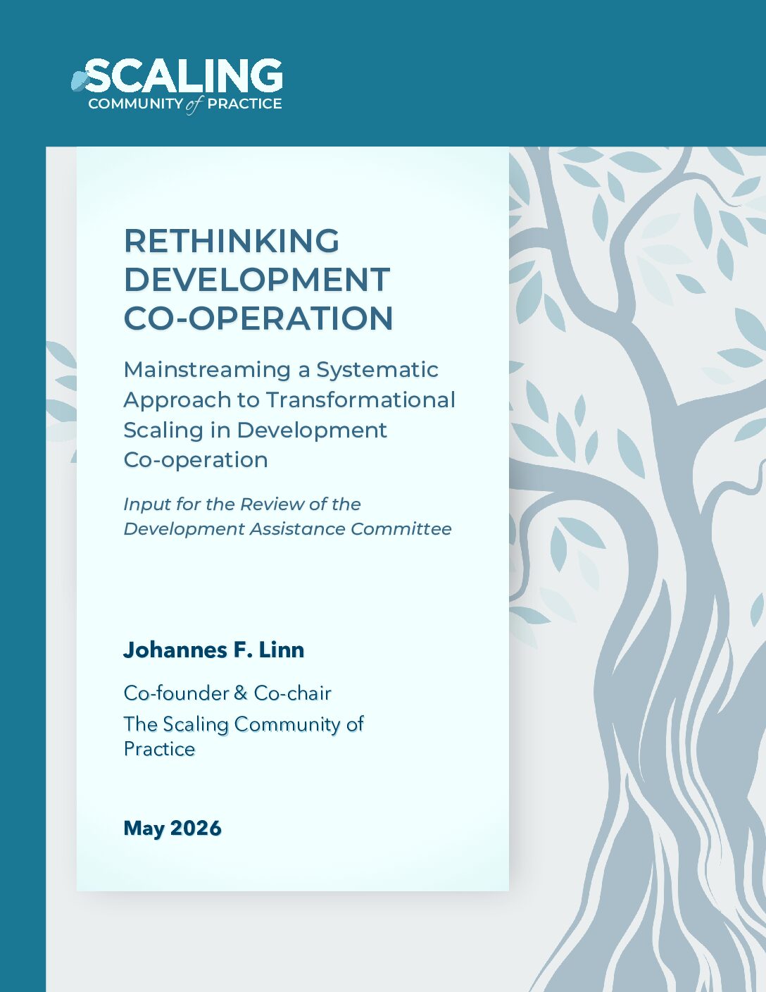 OECD DAC Review FINAL