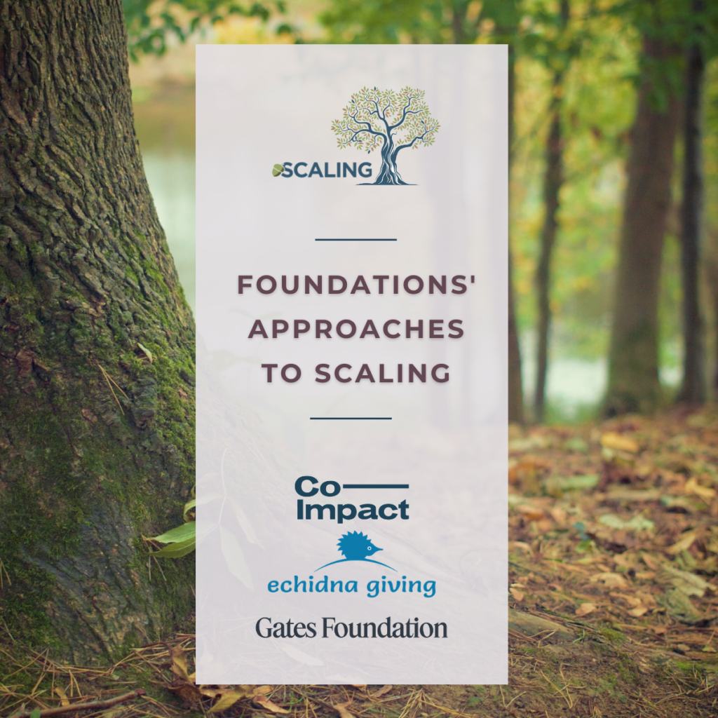Foundations' Approaches to Scaling