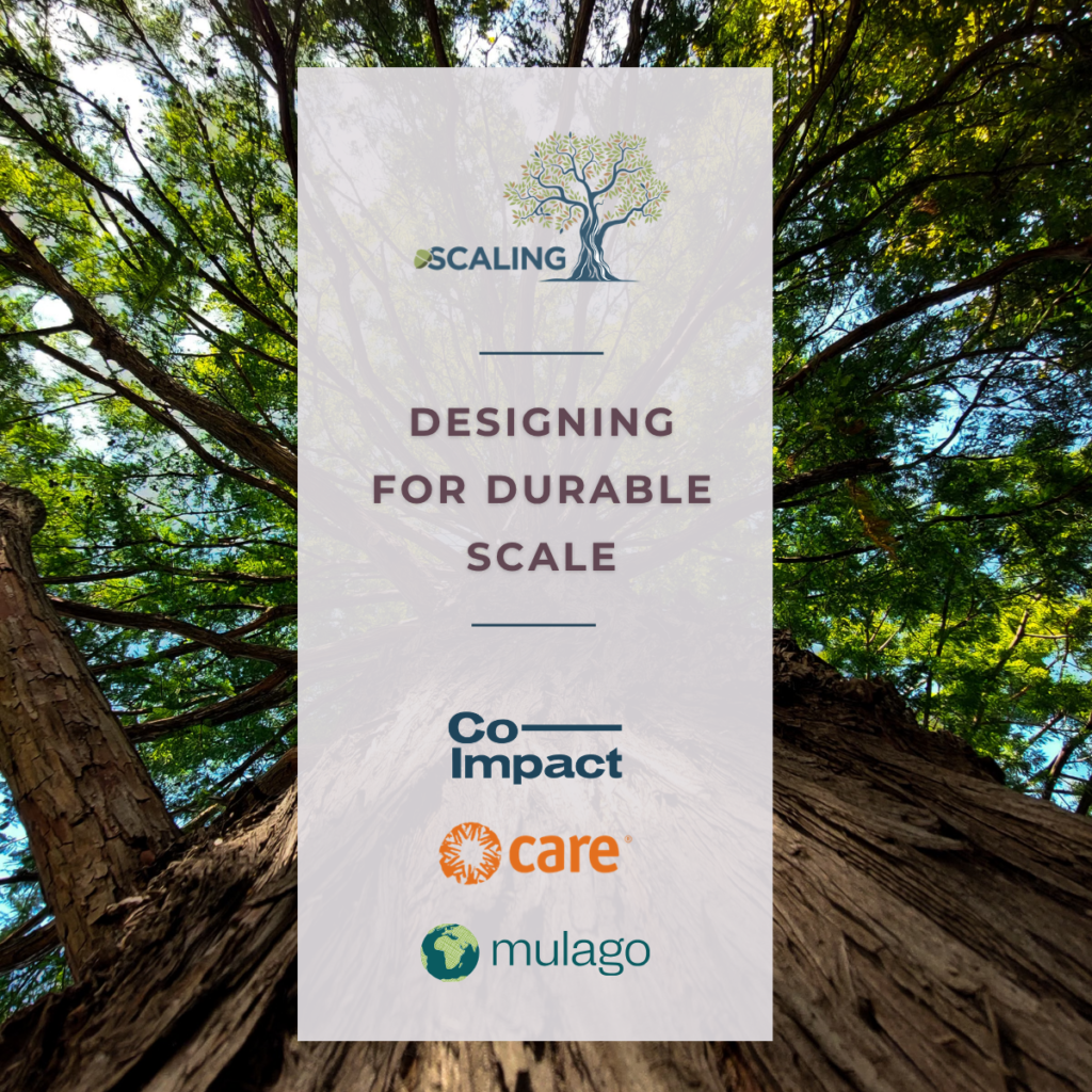 Designing for Durable Scale