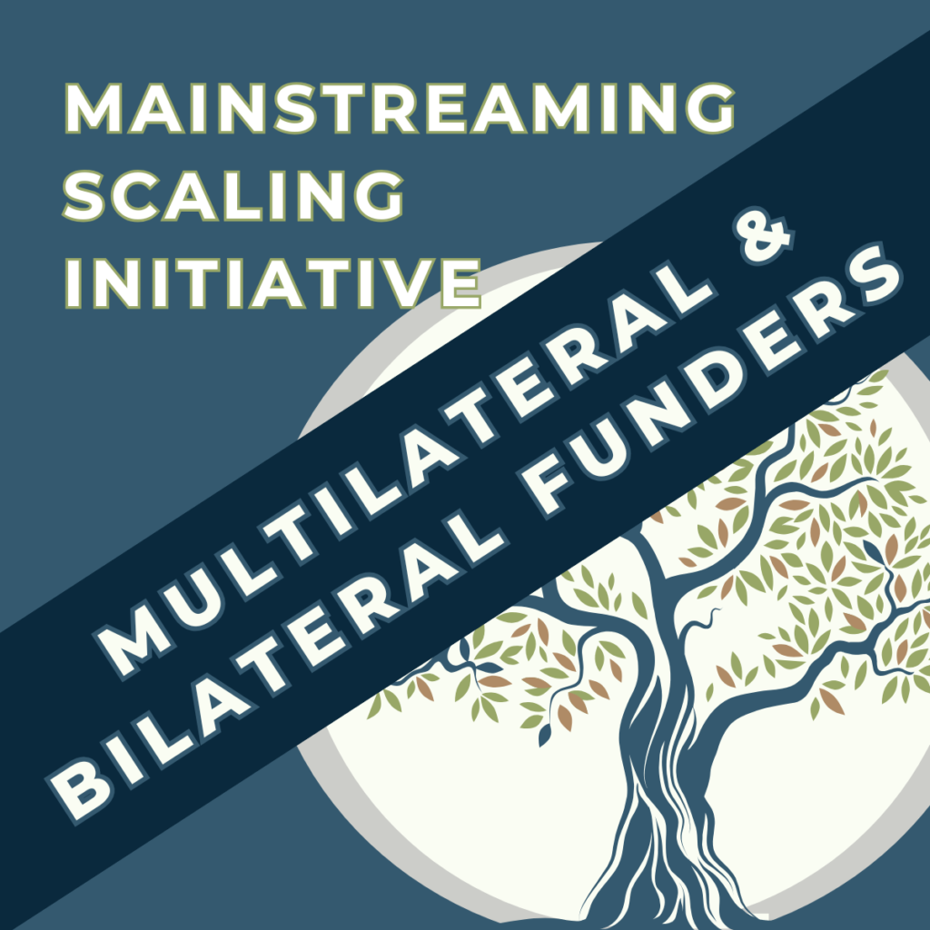 Lessons for Large Multilateral and Bilateral Official Funders