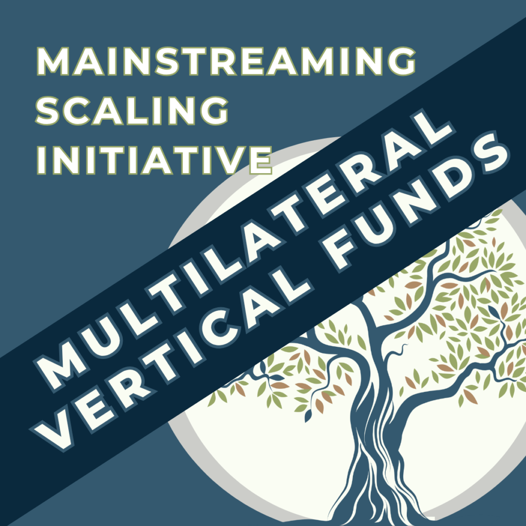 Lessons for Multilateral Vertical Funds