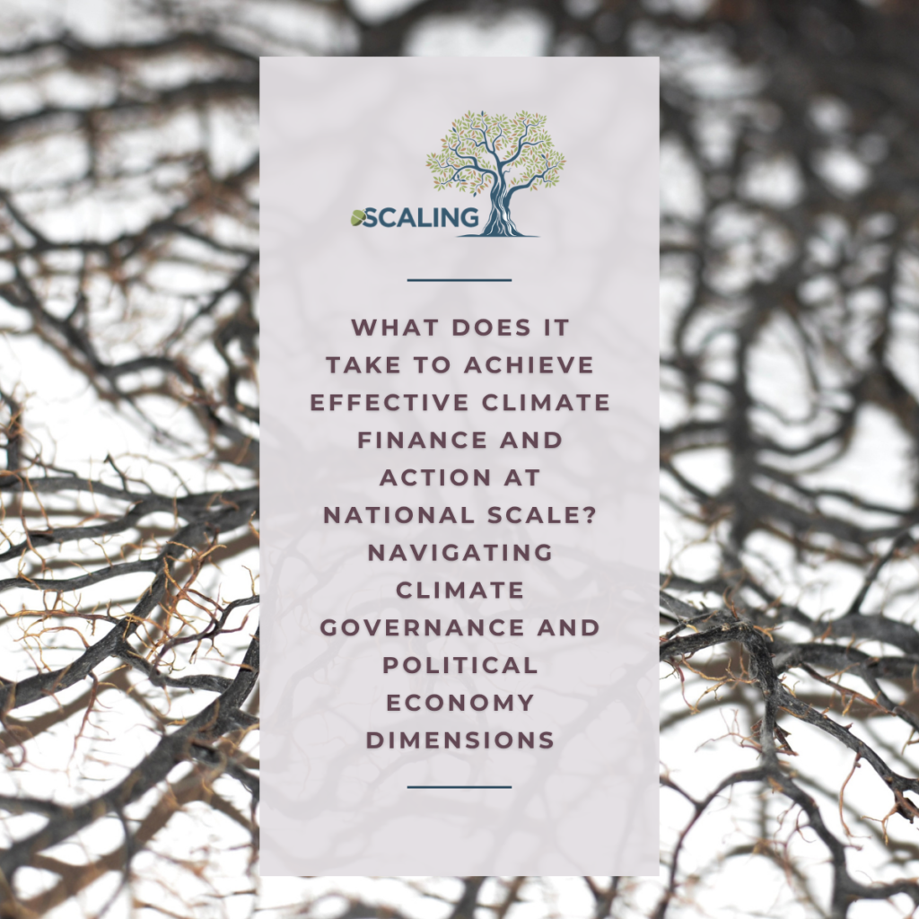 Navigating climate governance and political economy dimensions