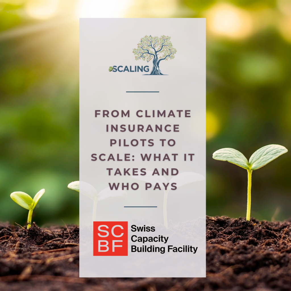 From Climate Insurance Pilots to Scale: What It Takes and Who Pays