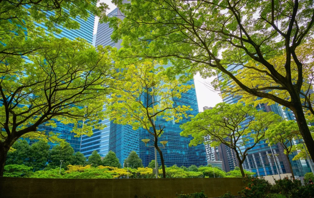 Country platforms for transformational impact at scale: A proposal